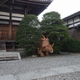 Image for article titled Buddhist Temple for Science Nerds